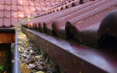 5 Fall Projects to Prepare Your Home for Winter